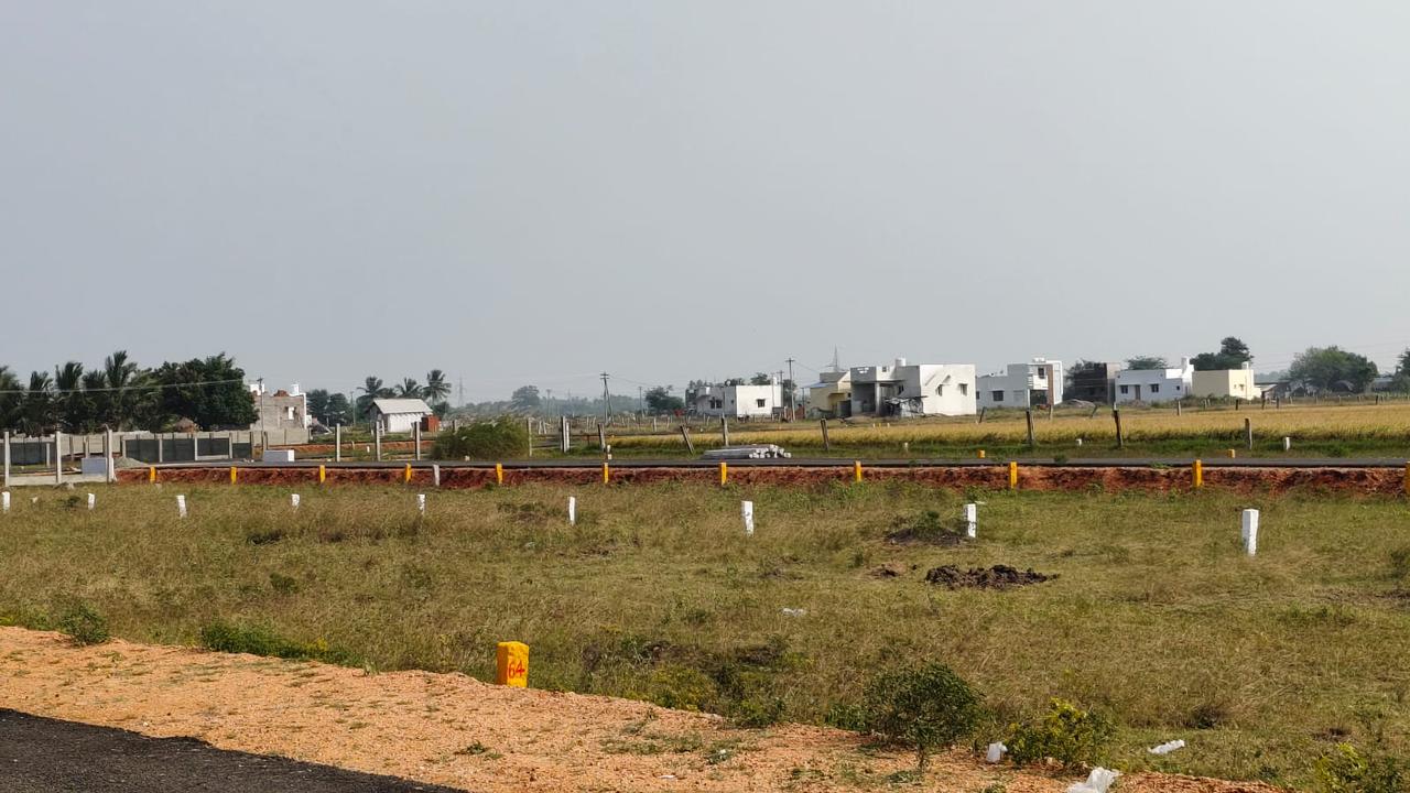 WhatsApp Image 2026-02-12 at 11.13.05 AM