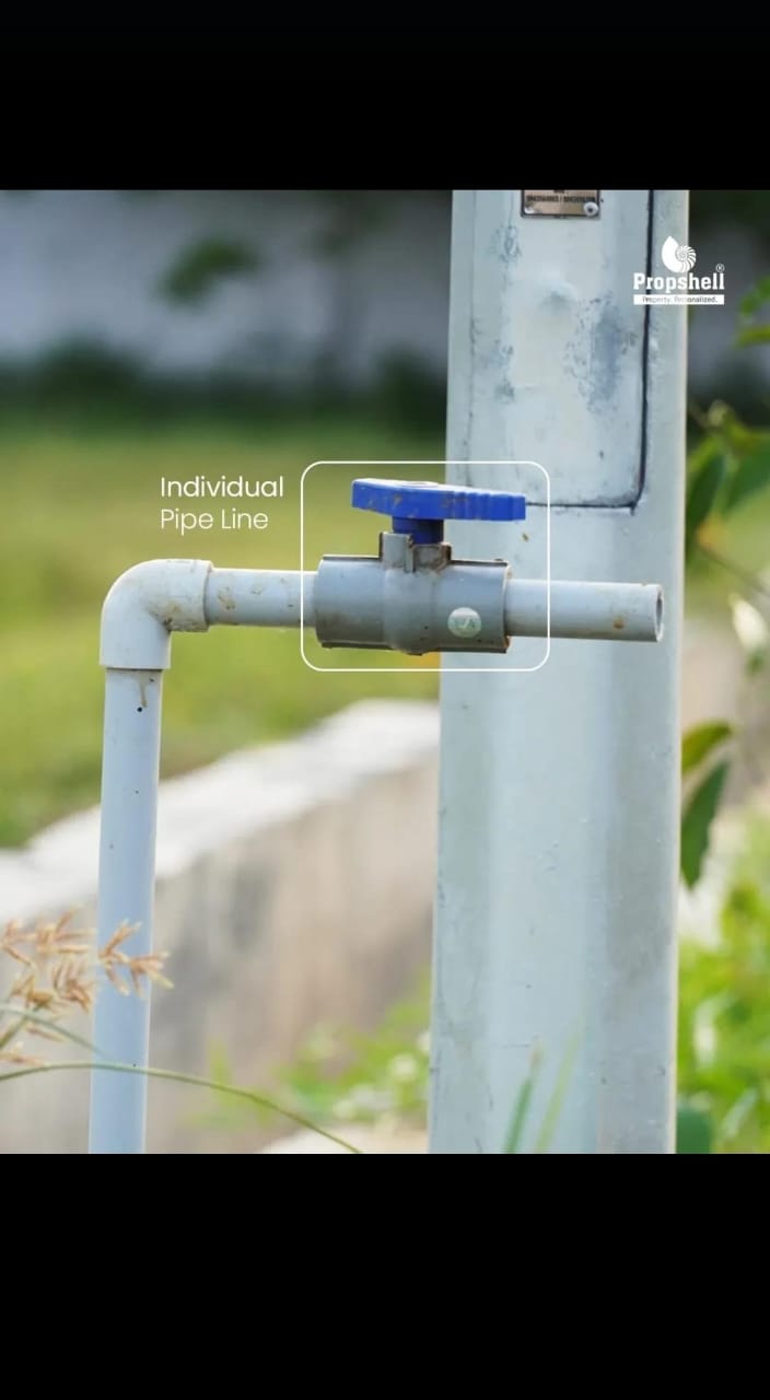 WhatsApp Image 2026-02-14 at 1.48.02 PM (2)