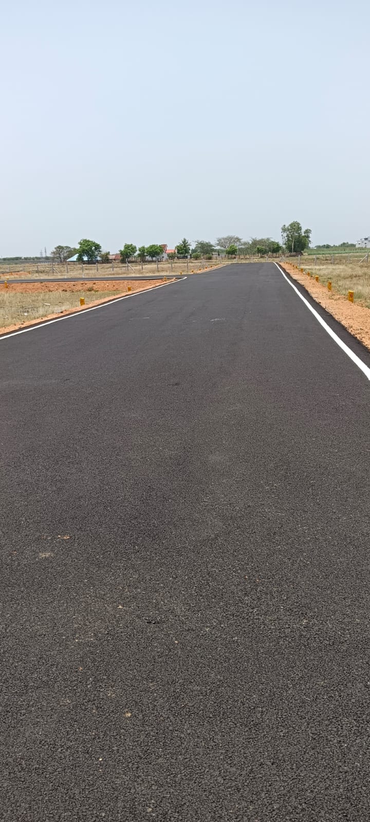 WhatsApp Image 2026-02-14 at 10.13.39 PM