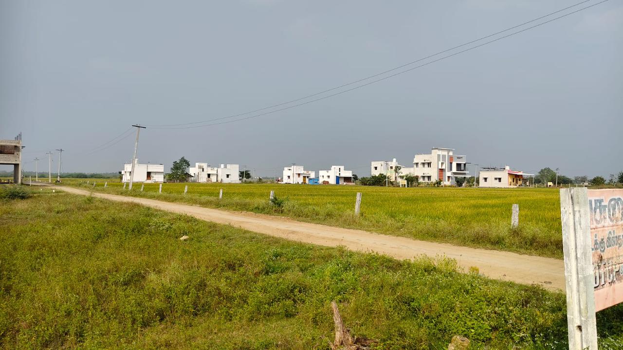 WhatsApp-Image-2026-02-12-at-11.13.05-AM2