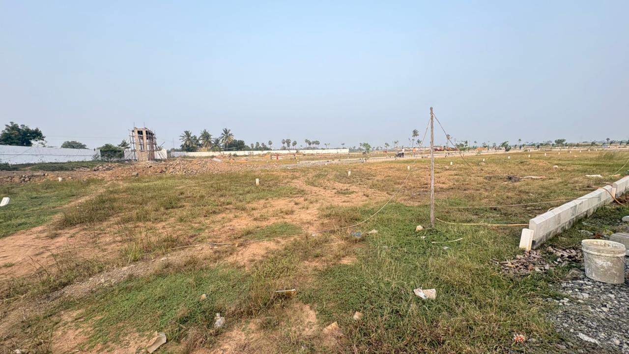 WhatsApp Image 2026-03-02 at 12.57.43 PM