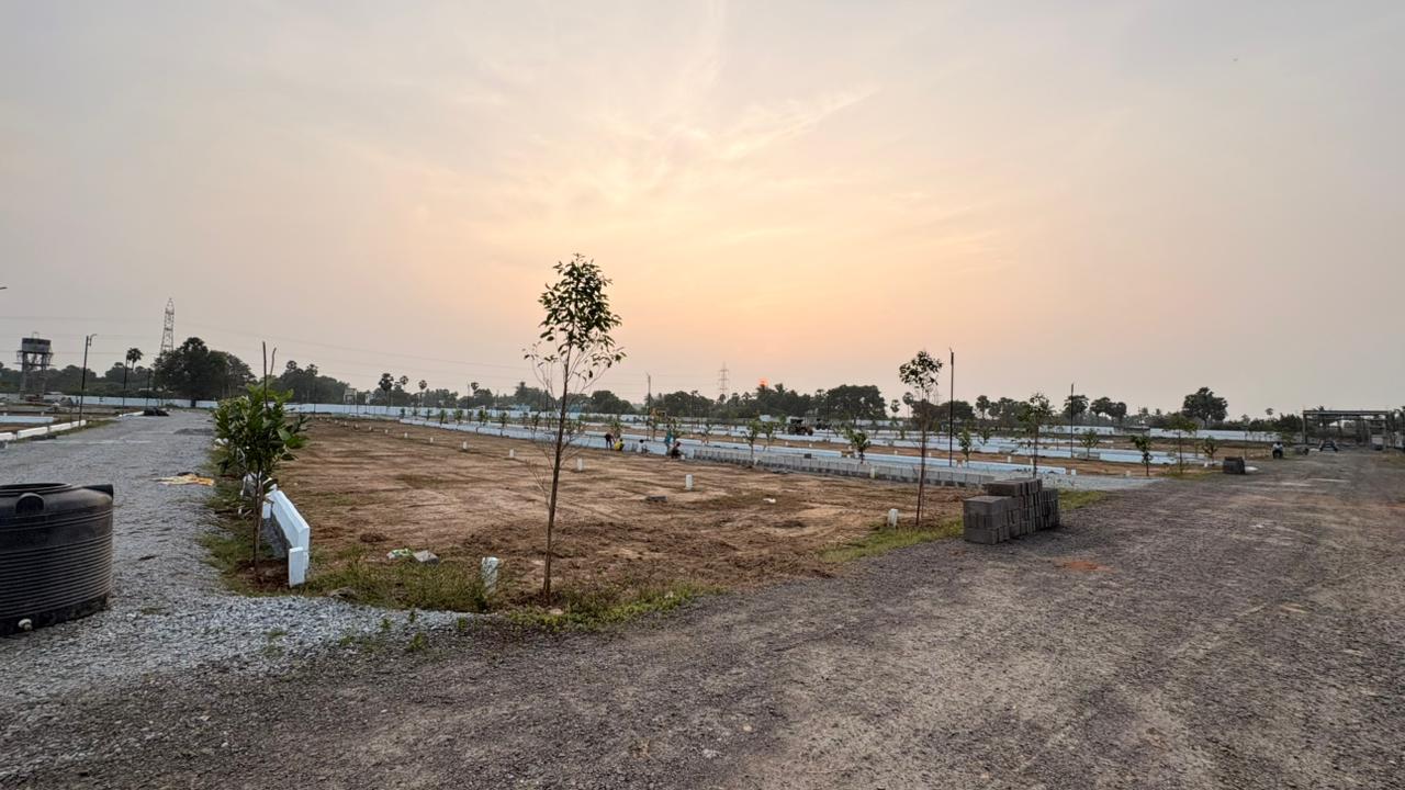 WhatsApp Image 2026-03-02 at 12.57.44 PM