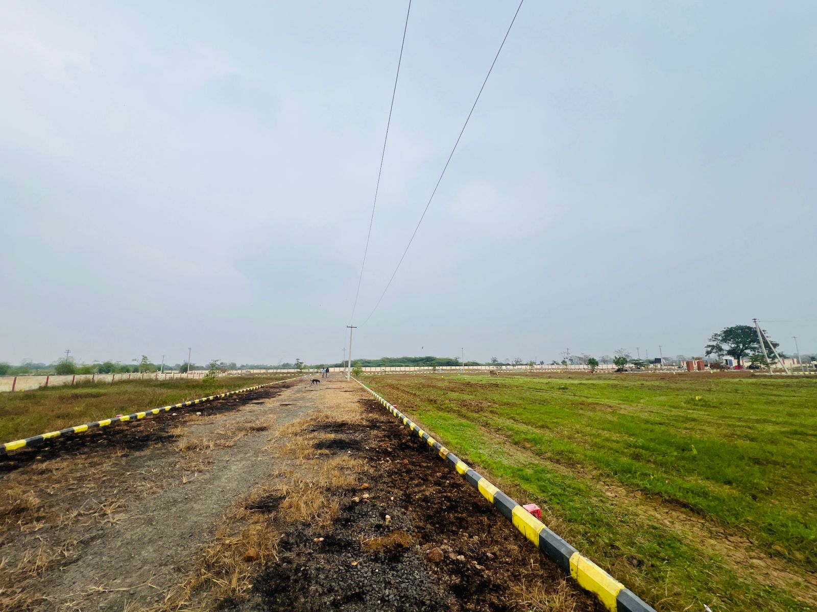 WhatsApp Image 2026-03-13 at 5.31.53 PM