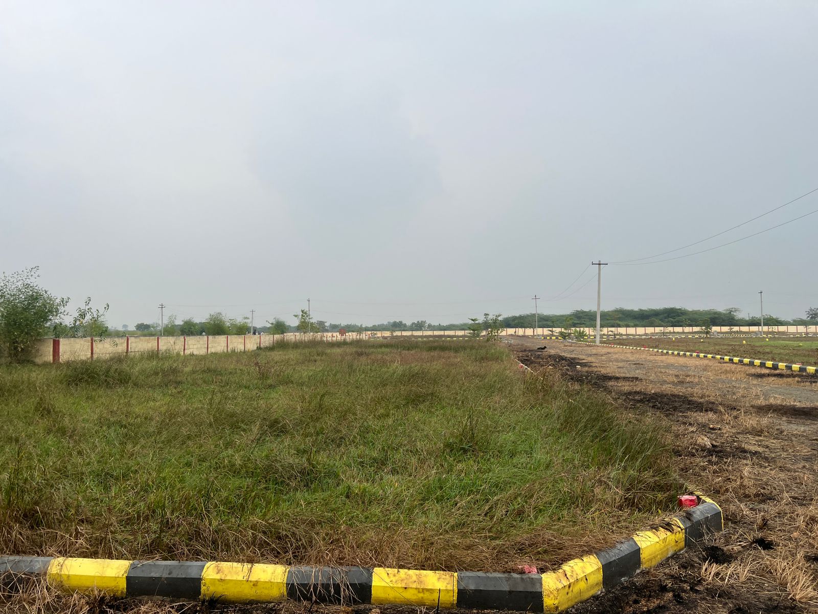 WhatsApp Image 2026-03-13 at 5.32.25 PM