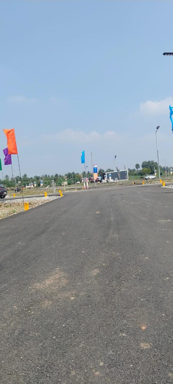 WhatsApp Image 2026-03-19 at 11.56.50 AM