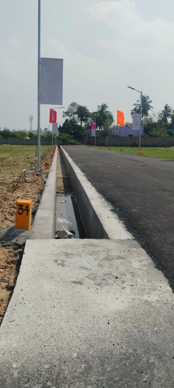 WhatsApp Image 2026-03-19 at 11.56.51 AM