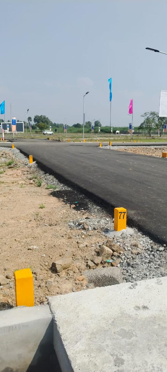 WhatsApp Image 2026-03-19 at 11.56.53 AM