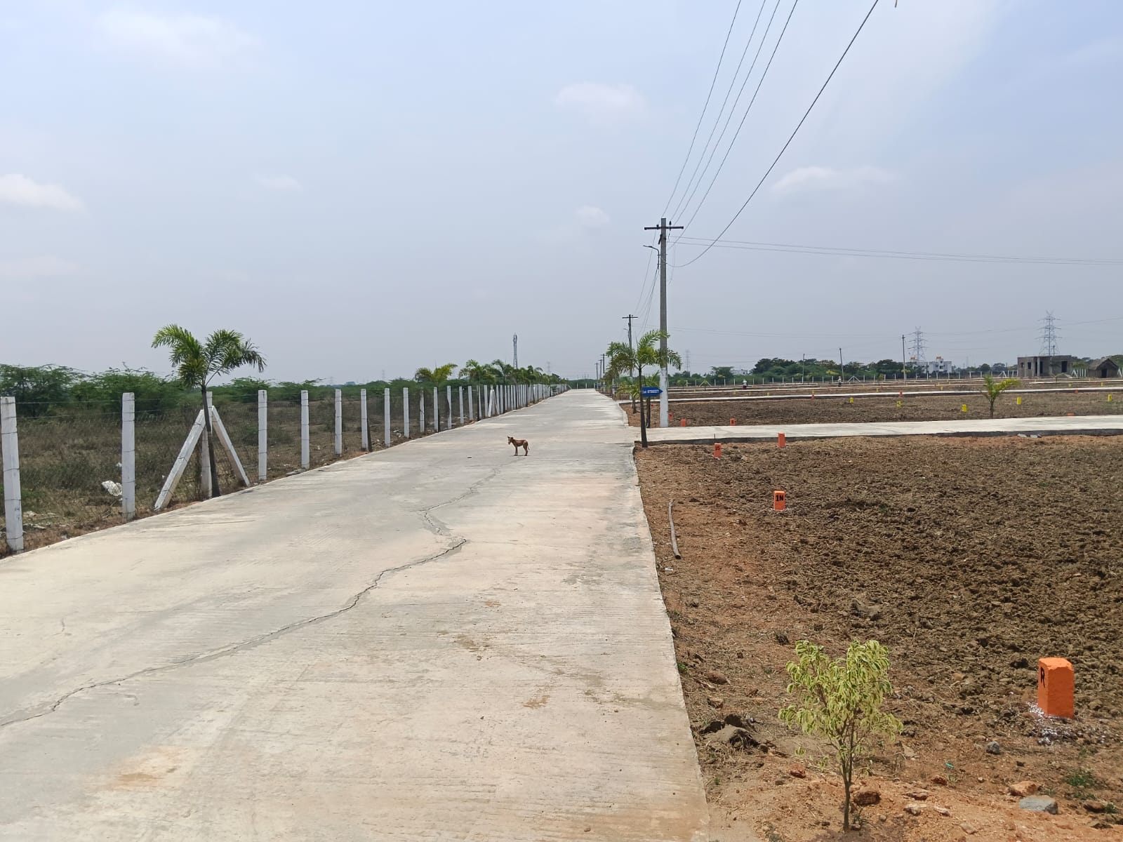 WhatsApp Image 2026-04-04 at 12.41.38 PM