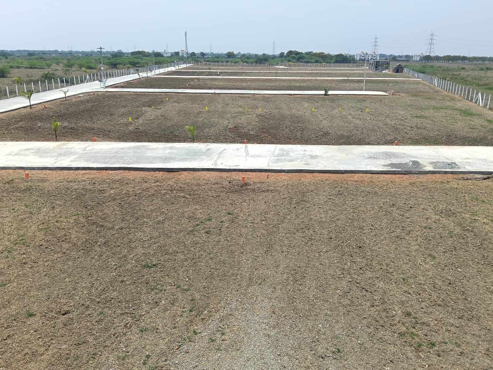 WhatsApp Image 2026-04-04 at 12.41.41 PM