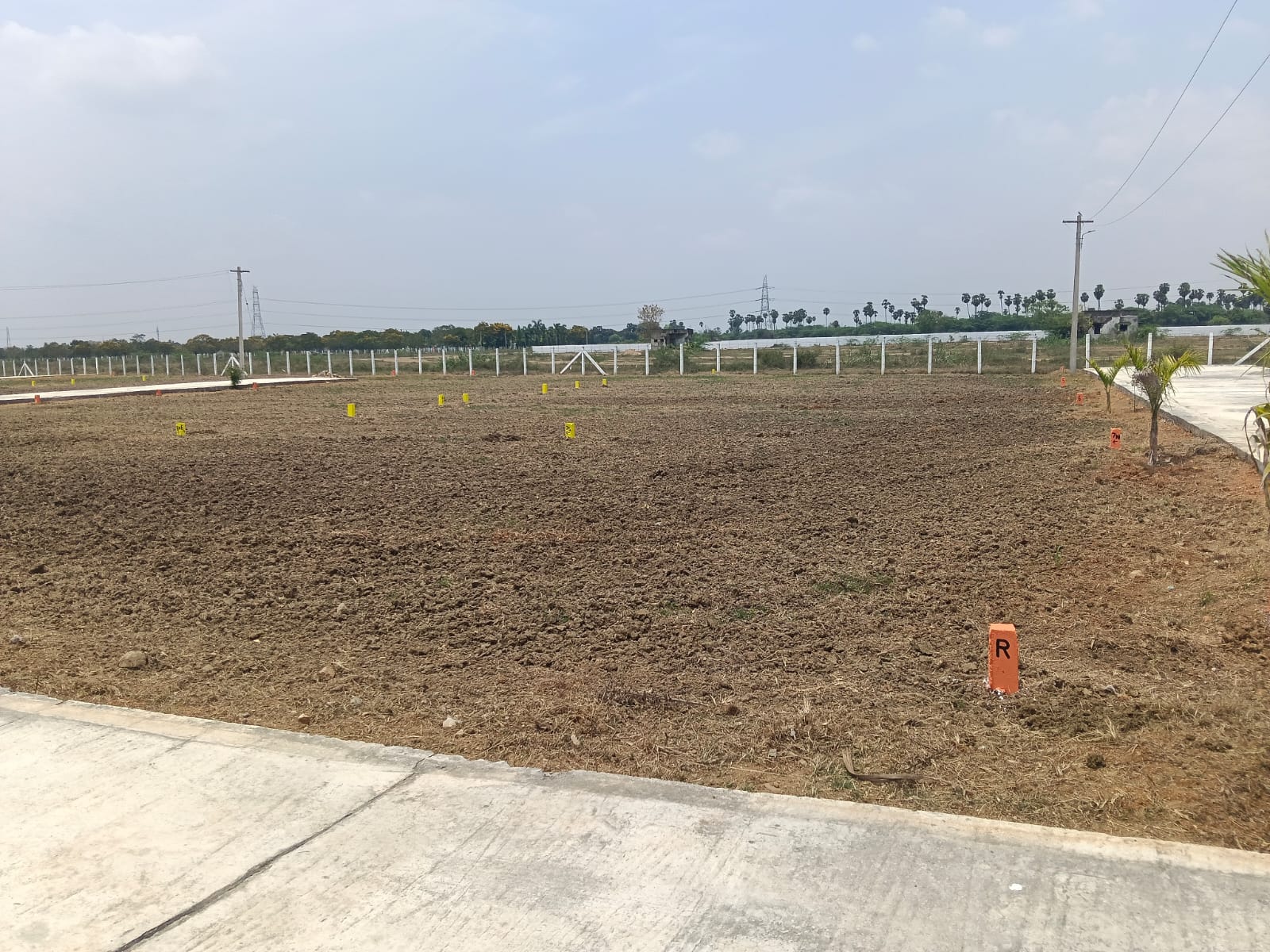 WhatsApp Image 2026-04-04 at 12.41.43 PM